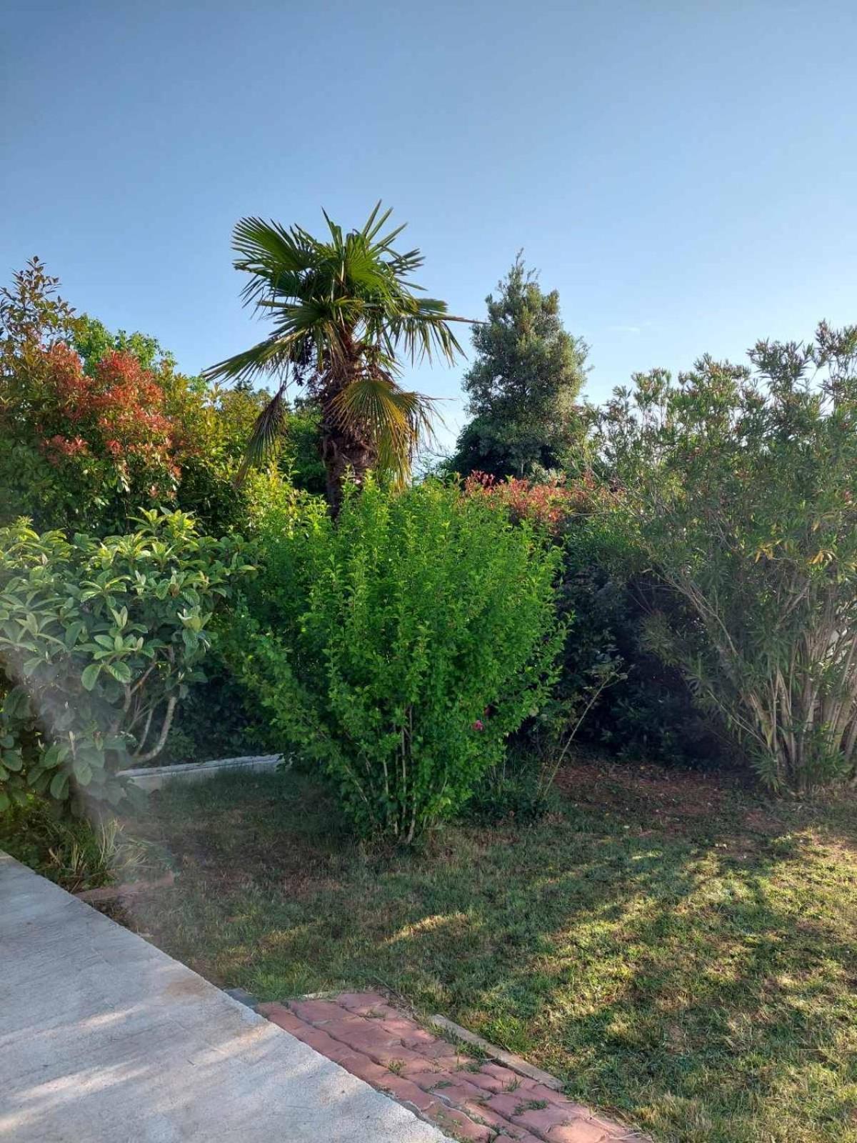 Apartamento Soline Ada Pjescana Uvala Exterior foto